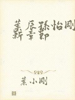 叶辰孙怡刚刚更新章节