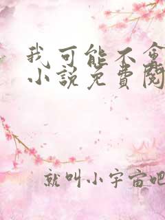 我可能不会爱你小说免费阅读