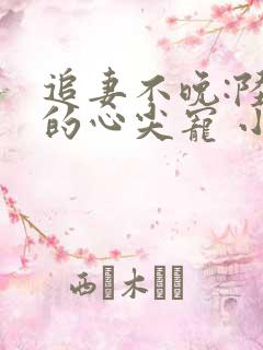 追妻不晚:陆少的心尖宠 小说