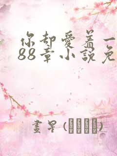 你却爱着一个他88章小说免费阅读