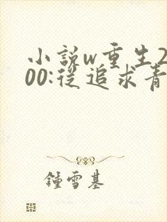 小说w重生2000:从追求青涩校花同桌开始,