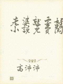 老婆就要好好追小说免费阅读