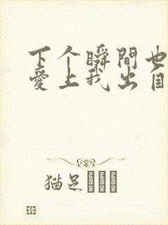 下个瞬间也请你爱上我出自哪本小说