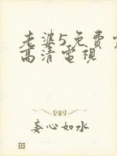 老婆5免费完整高清电视