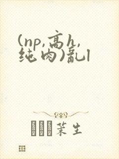 (np,高h,纯肉)乱l
