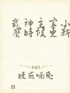 武神主宰小说什么时候更新