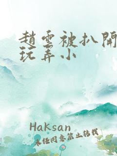 赵云被扒开双腿玩弄小