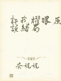 许我耀眼原著小说结局