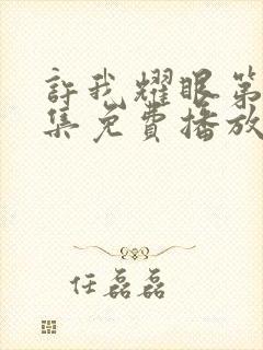 许我耀眼第10集免费播放