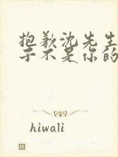 抱歉沈先生,孩子不是你的短剧在线