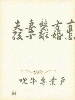 夫妻双方有两个孩子离婚怎么判