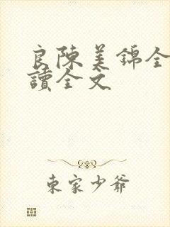 良陈美锦全文阅读全文