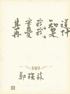 其实我知道你不再爱我是什么歌