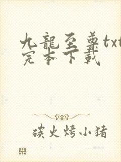 九龙至尊txt完本下载