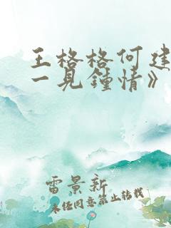 王格格何建麒《一见钟情》全集