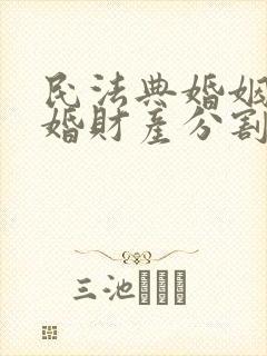 民法典婚姻法离婚财产分割2025