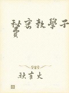 秘密教学子豪免费