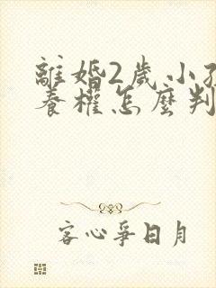 离婚2岁小孩抚养权怎么判定标准