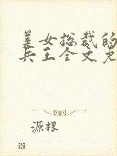 美女总裁的贴身兵王全文免费