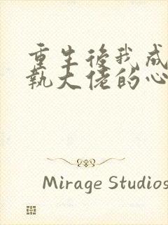 重生后我成了偏执大佬的心尖宠