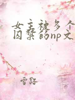 女主被多个男主囚禁的np文
