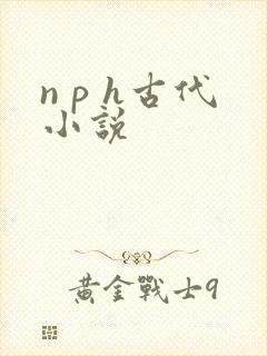 n p h古代小说