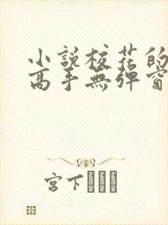 小说校花的贴身高手无弹窗