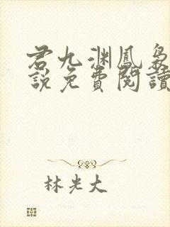 君九渊凤袅袅小说免费阅读