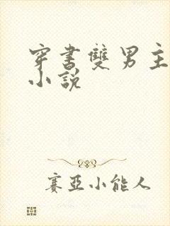 穿书双男主现代小说