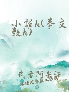 小说h(拳交调教h)