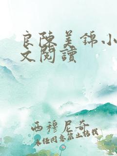 良陈美锦小说全文阅读