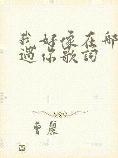 我好像在哪里见过你歌词