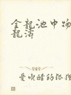 金龙池中物 侯龙涛