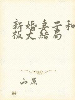 新婚妻子和菜老板大结局