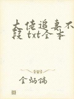 大佬追妻不择手段 txt全本