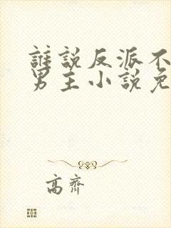 谁说反派不能当男主小说免费阅读