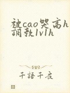 被cao哭高h调教1v1h