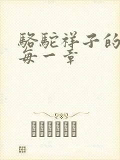 骆驼祥子的概括每一章