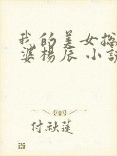 我的美女总裁老婆杨辰 小说