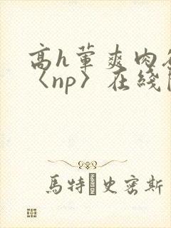 高h荤爽肉欲文〈np〉在线阅读