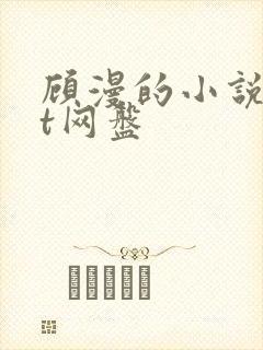 顾漫的小说txt网盘