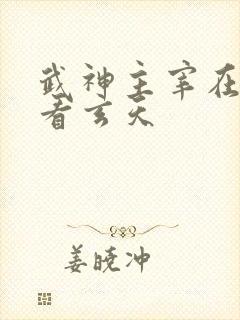 武神主宰在线观看玄天