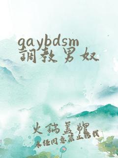 gaybdsm调教男奴