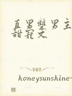 直男双男主小说甜宠文