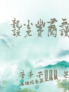 龙小幽君无邪小说免费阅读