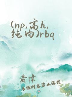 (np,高h,纯肉)rbq