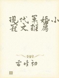 现代军婚小说甜宠文推荐