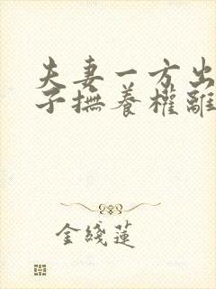 夫妻一方出轨孩子抚养权离婚判决