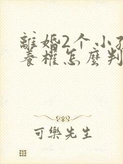 离婚2个小孩抚养权怎么判定