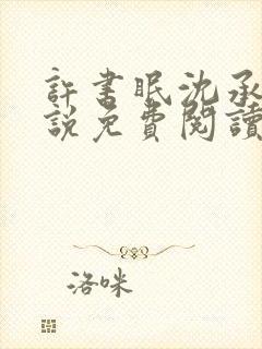 许书眠沈承泽小说免费阅读最新章节